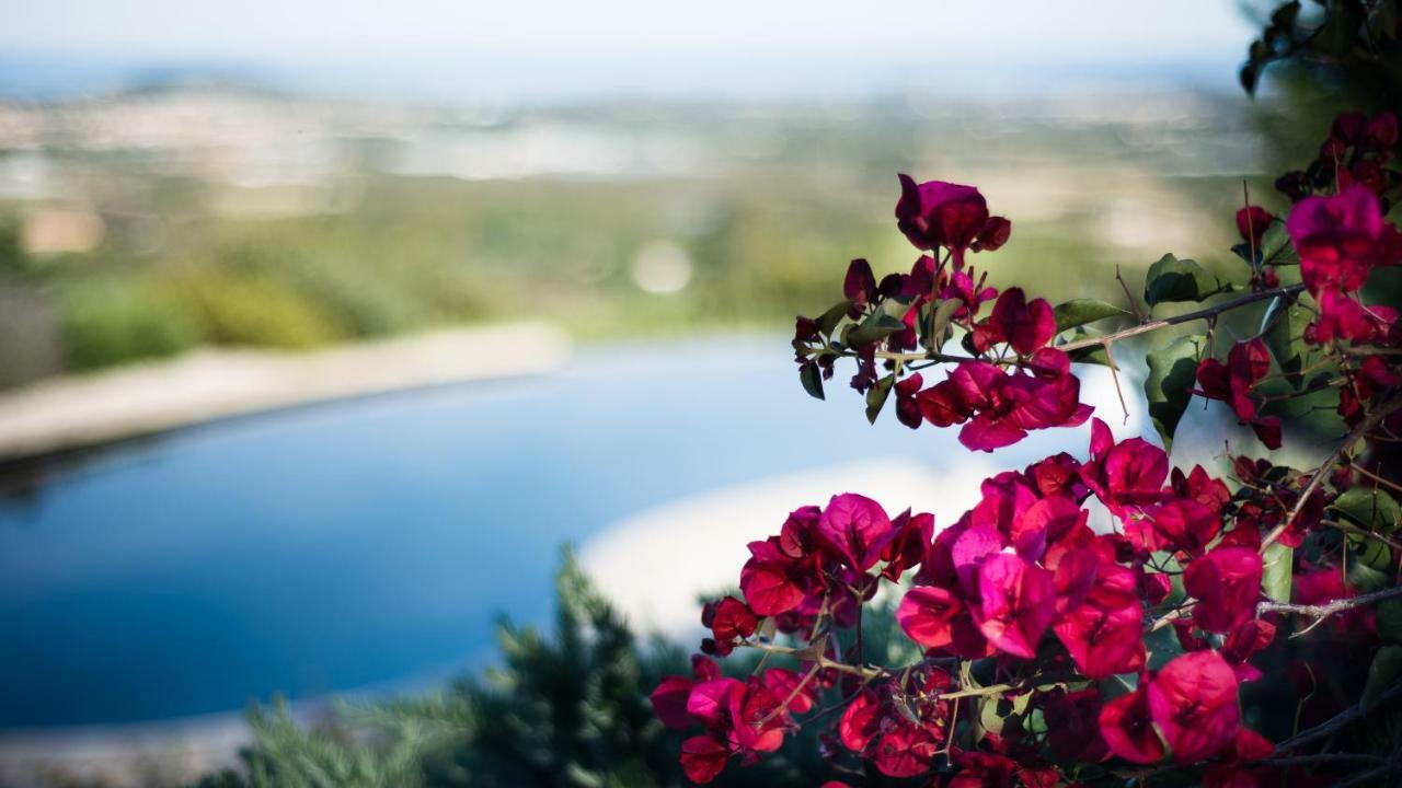 Le Tre Civette - Residenza Di Campagna Bed and Breakfast Villa San Pietro Εξωτερικό φωτογραφία
